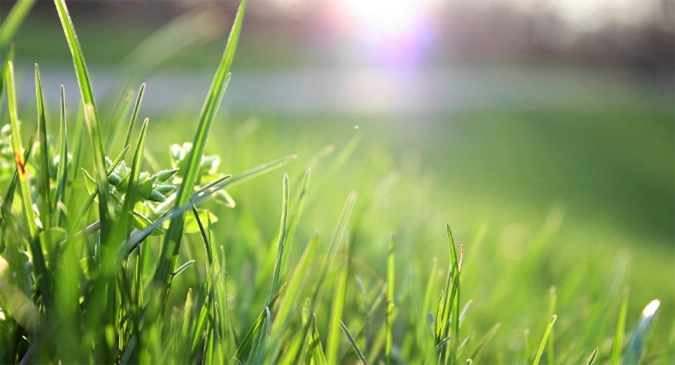 Green Production, Energy Conservation & Emission Reduction