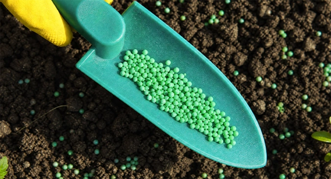 Technological Innovation, Green Products