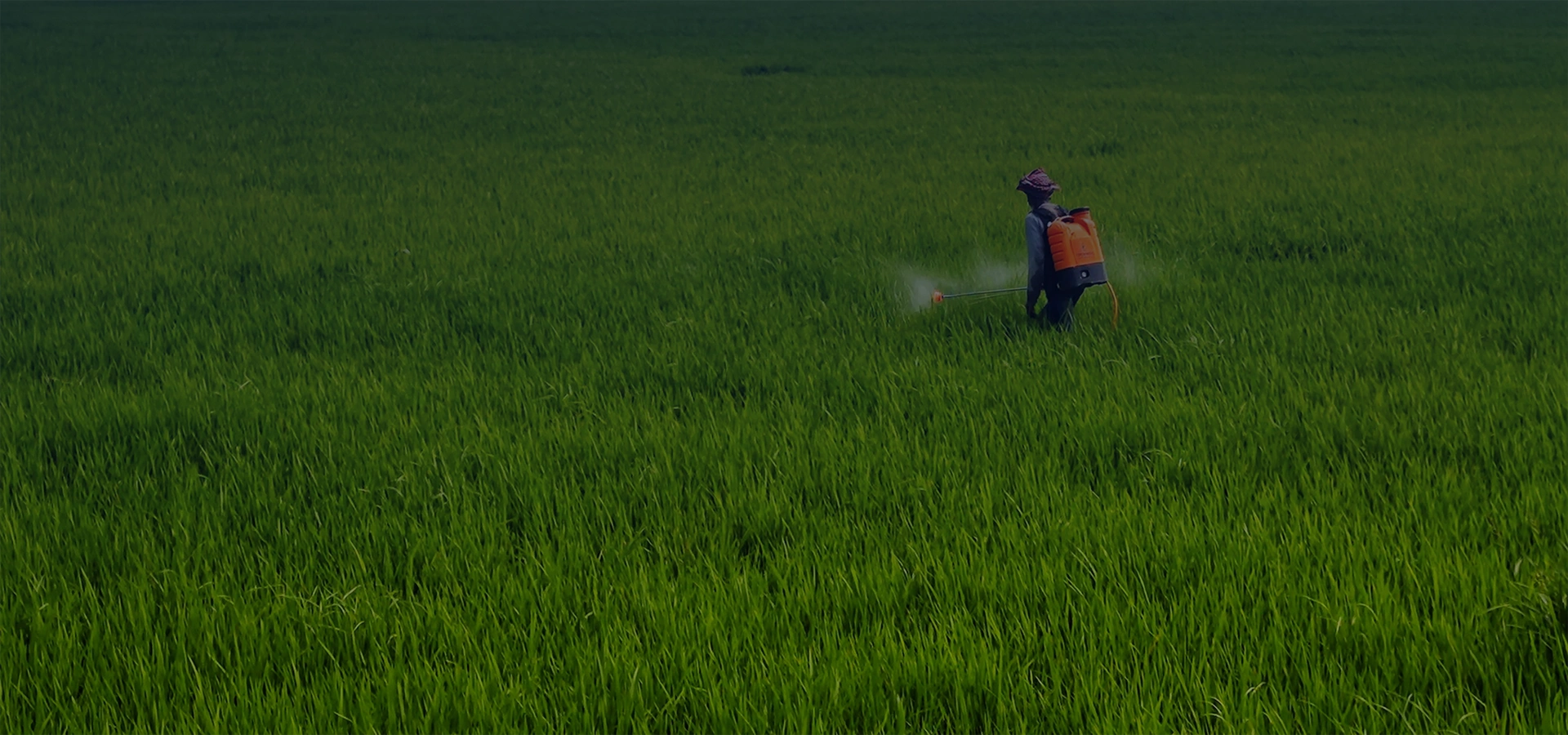Sustainability BANNER