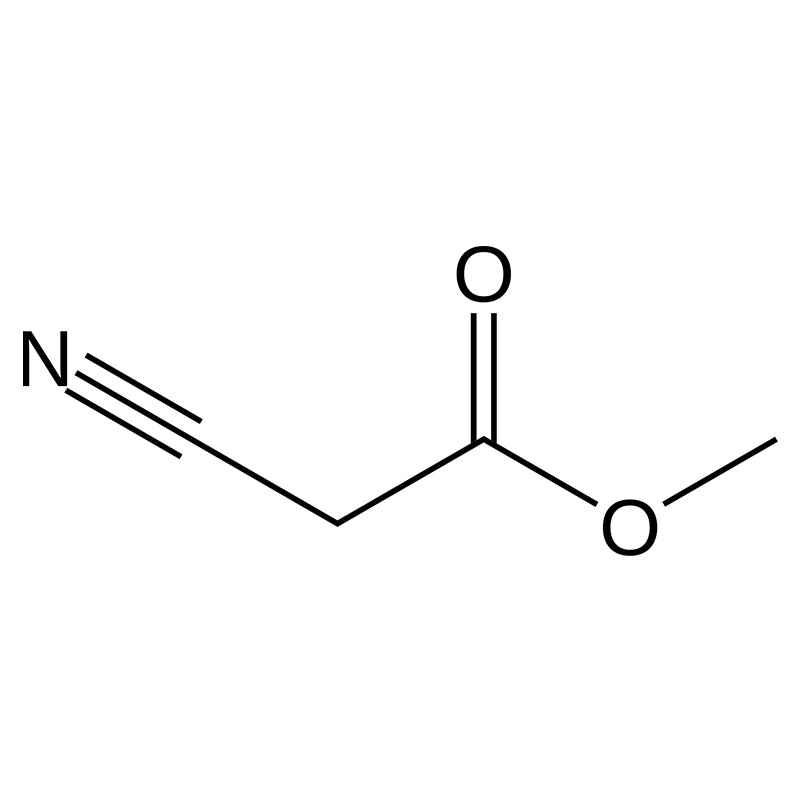 Methyl cyanoacetate - 105-34-0